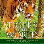 Tiger Books