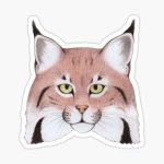 Eurasian Lynx stickers and magnets "