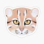 Asiatic Golden Cat stickers and magnets "