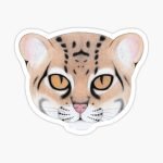 Marbled Cat stickers and magnets"