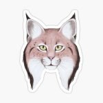 Iberian Lynx stickers and magnets"