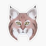 Bobcat stickers and magnets"