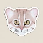 International Rusty-spotted Cat Day - December 21