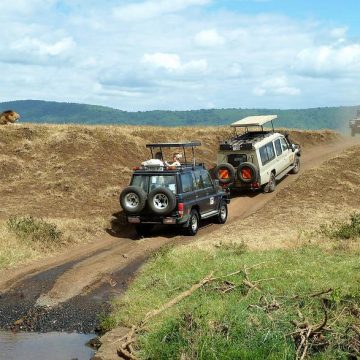 10-day Zambia Wild Cat Safari Itinerary