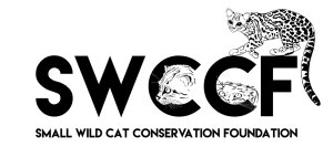Small Wild Cat Conservation Foundation ~ September 2024 Newsletter