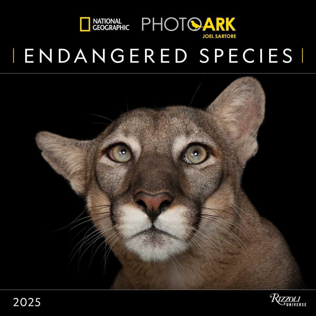 Nat Geo 2025 Calendar - Endangered Species
