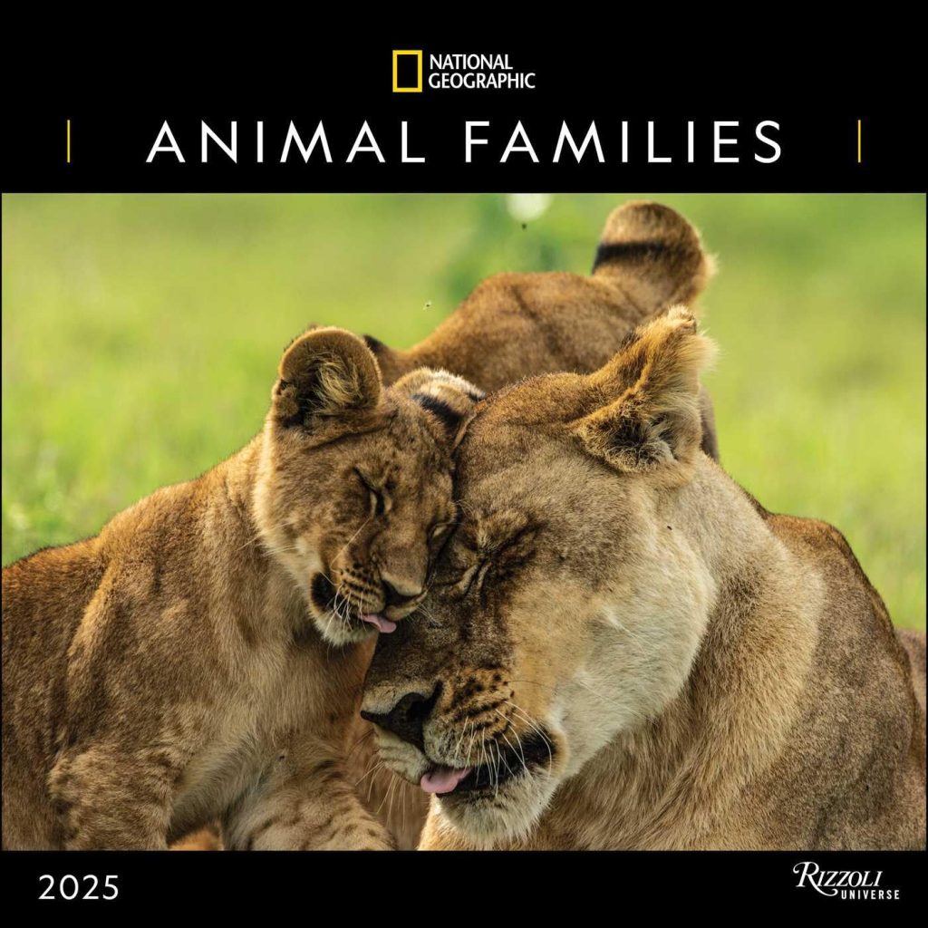 Nat Geo 2025 Calendar - Animal Families