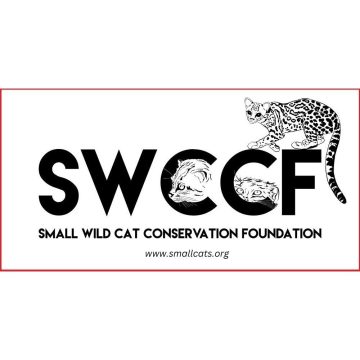 Small Cat Conservation ~ Uganda, Chile and Mexico ~ SWCCF Feb 2025 News