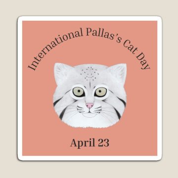 International Pallas’s Cat Day ~ April 23rd 2026