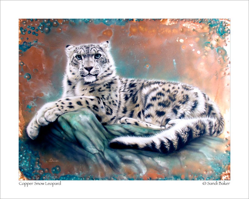 Copper Snow Leopard Copyright Sandi Baker Snow Leopard Art Print