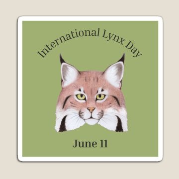 International Lynx Day ~ June 11th 2026