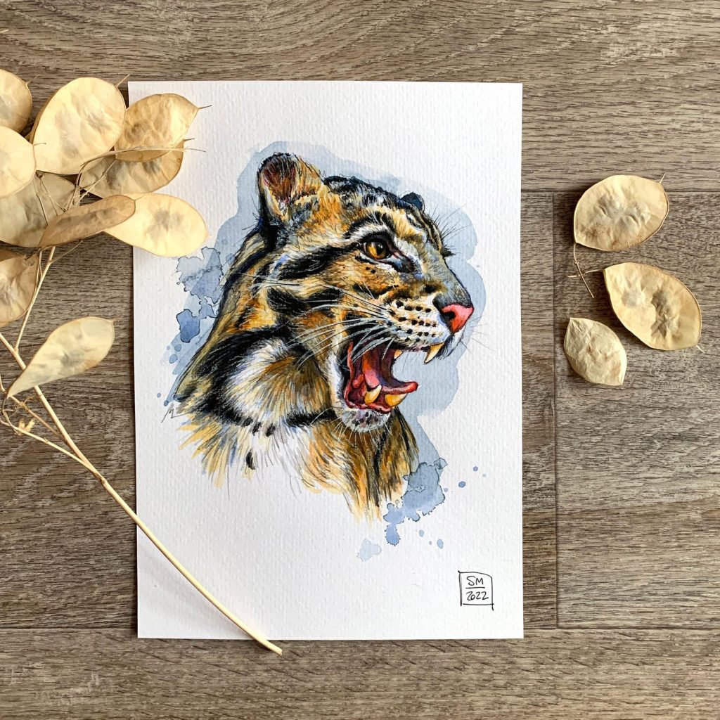 Clouded Leopard Watercolor Copyright Sandra Mahn Clouded Leopard Painting