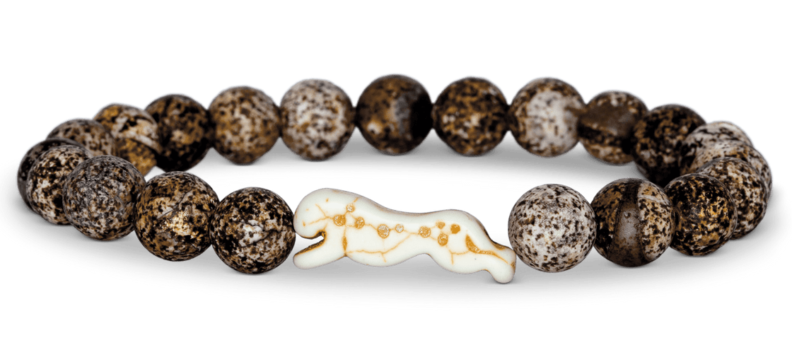 Support Cheetah Conservation Fund with this stunning Cheetah Tracking Bracelet