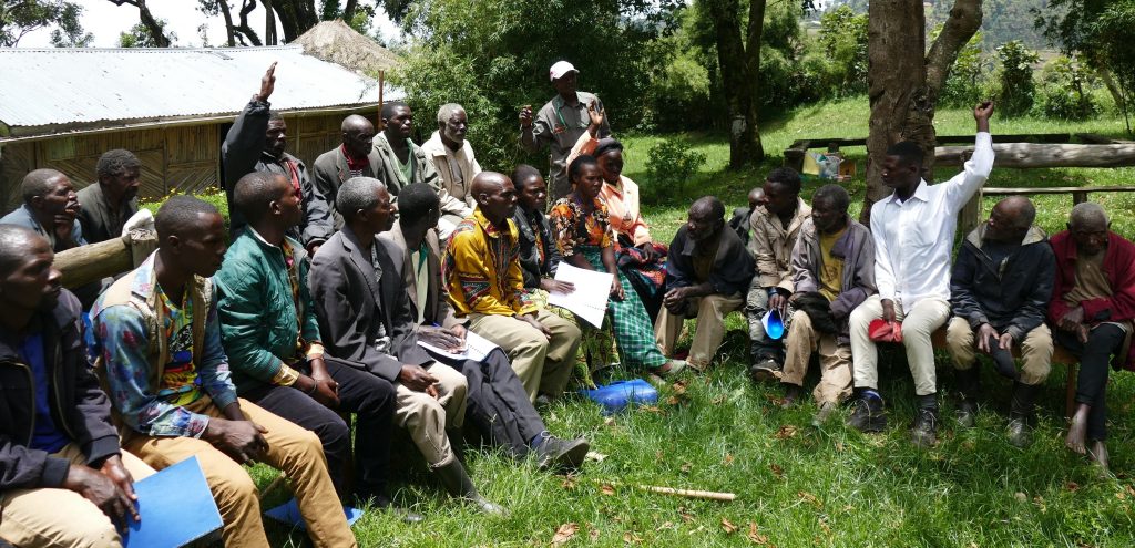 © African Golden Cat Conservation Alliance New National Park for African Golden Cat - Uganda