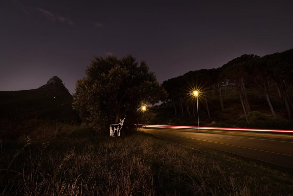 Caracal road signs at high accident hotspots in South Africa