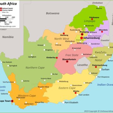 Red List of Mammals South Africa – 7x Wild Cat Species