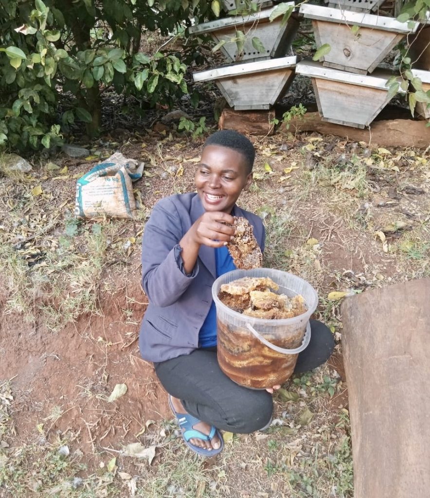 © African Golden Cat Conservation Alliance / Embaka Beekeeping - Conservation in action for African Golden Cats - Uganda