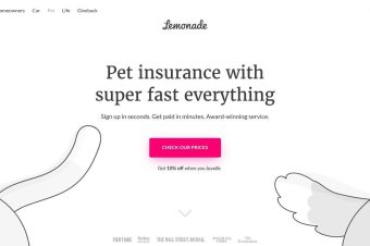 The 11 Best Pet Insurance Companies of 2026